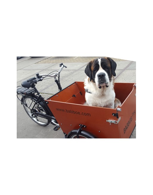 Babboe Dog elektrische hondenbakfiets