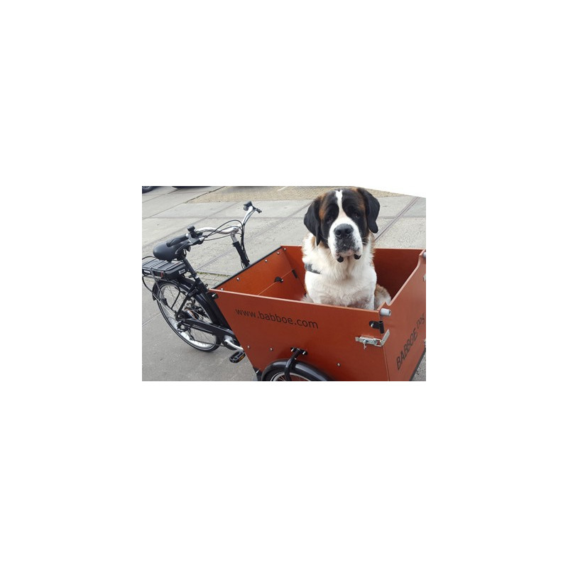 Babboe Dog elektrische hondenbakfiets