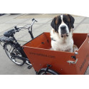 Babboe Dog elektrische hondenbakfiets