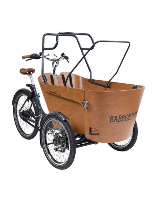 Babboe Carve/Flow pole set rain tent / sunroof