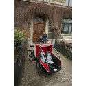 Winther Kangaroo Lite Elektro lastendreirad