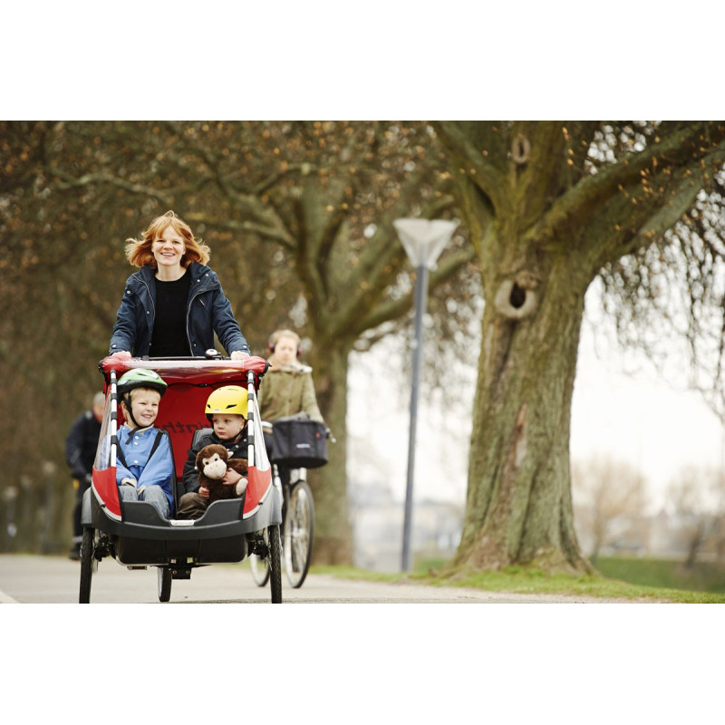 Winther Kangaroo Lite Electric child cargo trike