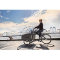Winther Cargoo Electric child cargo trike