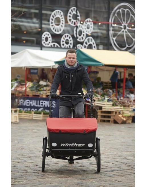Winther Cargoo Electric child cargo trike