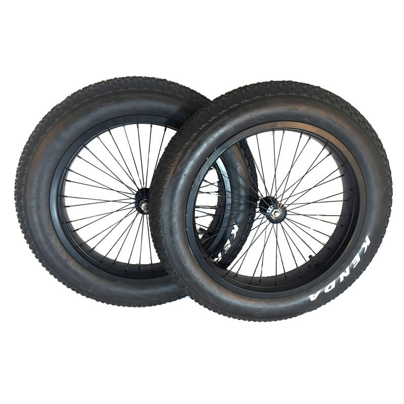 Roland Carrie M Fatbike wielset 20 inch set