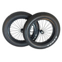 Roland Carrie M Fatbike wielset 20 inch set