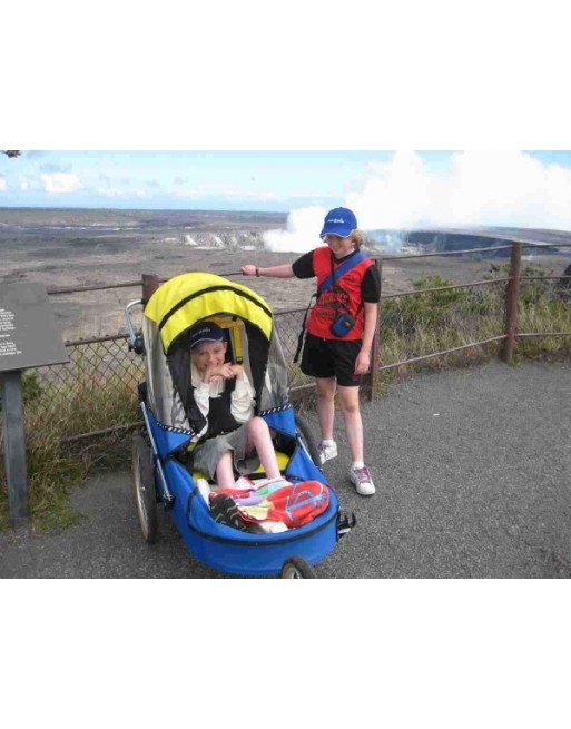 Wike Extra großer Fahrradanhänger für Behinderte