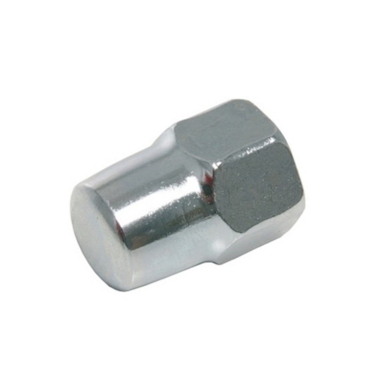 Rear Wheel Cap Nut M12