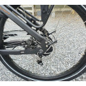 Biporteur électrique spécial Vogue Superior 2