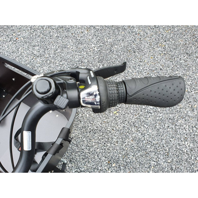 Vogue superior 2 electric cargo bike