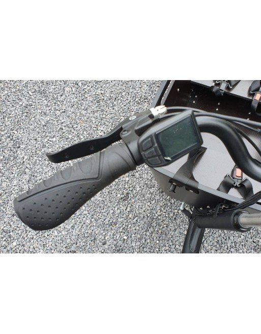 Vogue Superior 2 Elektro kinderlastenfahrrad