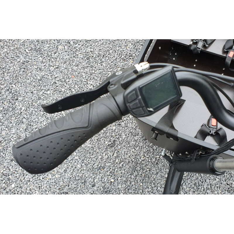 Biporteur électrique spécial Vogue Superior 2